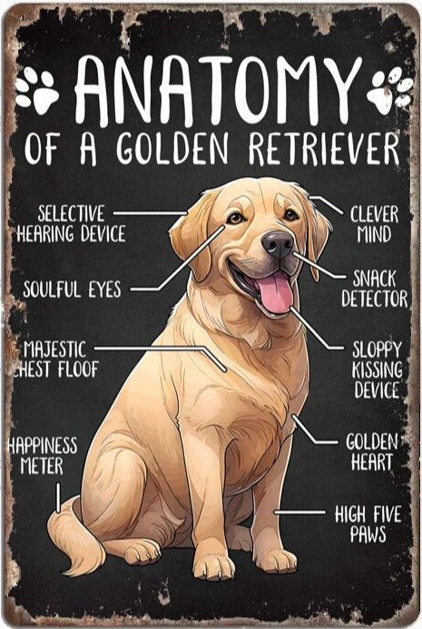 Plaque métal déco vintage 🐕 GOLDEN RETRIEVER N° 7 ✔