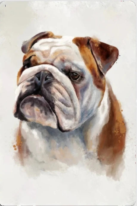 BULLDOG PLAQUE AQUARELLE