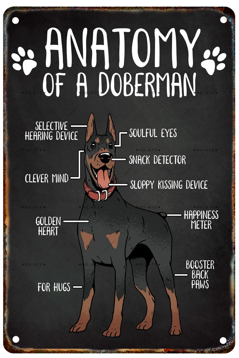 DOBERMAN PLAQUE ANATOMY OF A DOBERMAN