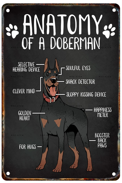 DOBERMAN PLAQUE ANATOMY OF A DOBERMAN