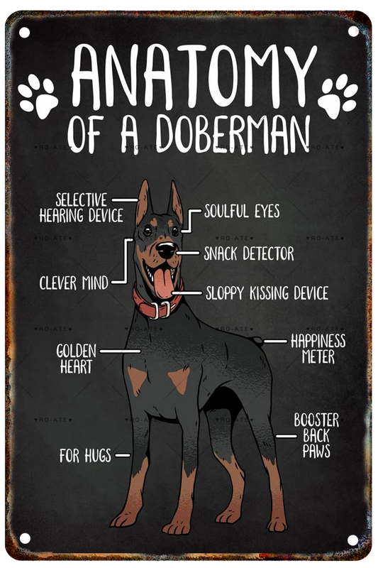 DOBERMAN PLAQUE ANATOMY OF A DOBERMAN