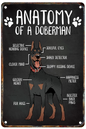 DOBERMAN PLAQUE ANATOMY OF A DOBERMAN