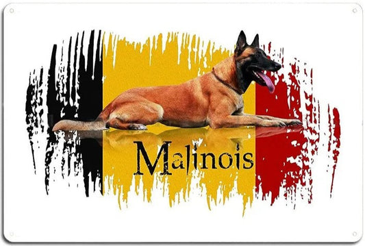 Plaque métal déco vintage 🐕  MALINOIS N° 13 ✔