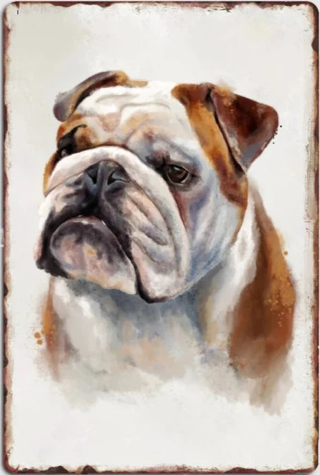 BULLDOG PLAQUE AQUARELLE