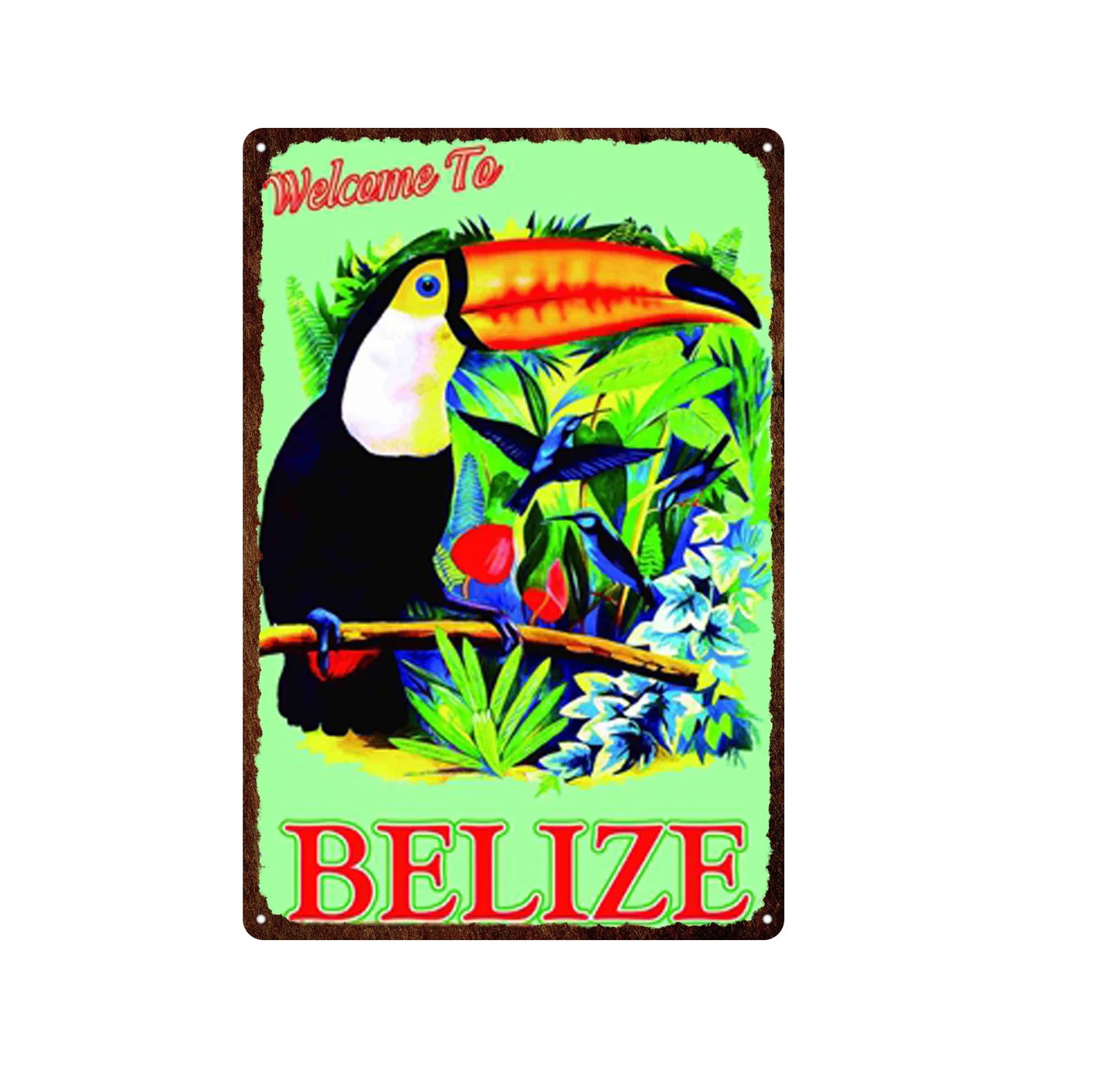 Plaque métal déco vintage 🌎 BELIZE N° 2 ✔