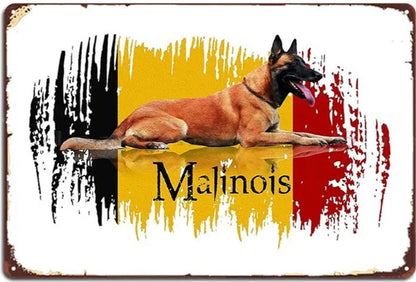 Plaque métal déco vintage 🐕  MALINOIS N° 12 ✔