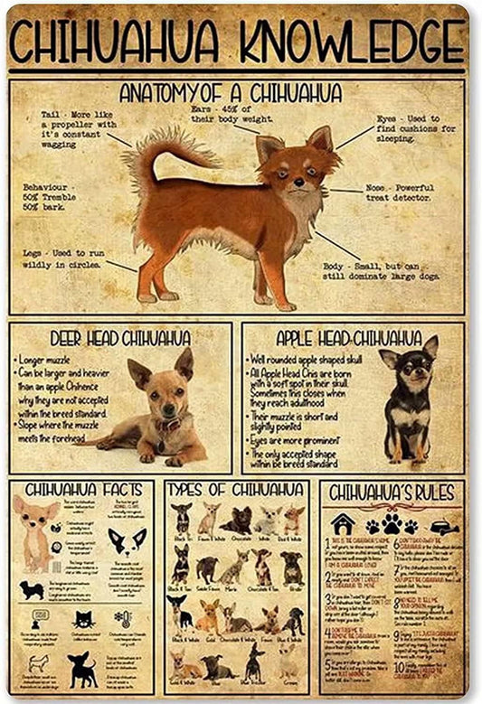CHIHUAHUA PLAQUE KNOWLEDGE