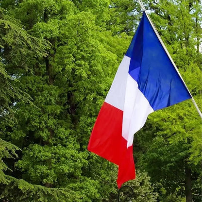 DRAPEAU France N° 1 🚩