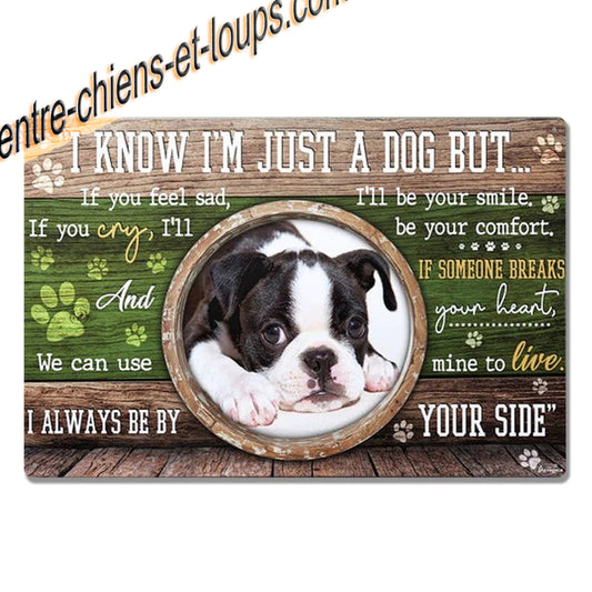 BOSTON TERRIER PLAQUE I KNOW I AM JUST A DOG