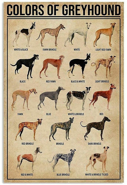 les robes du lévrier greyhound