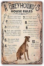 règles maison lévrier