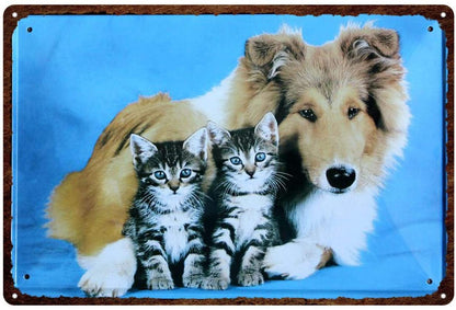 COLLEY PLAQUE AVEC DES CHATONS