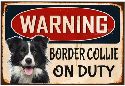 BORDER COLLIE PLAQUE WARNING BORDER COLLIE ON DUTY