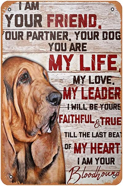 PLAQUE BLOODHOUND I AM YOUR FRIEND